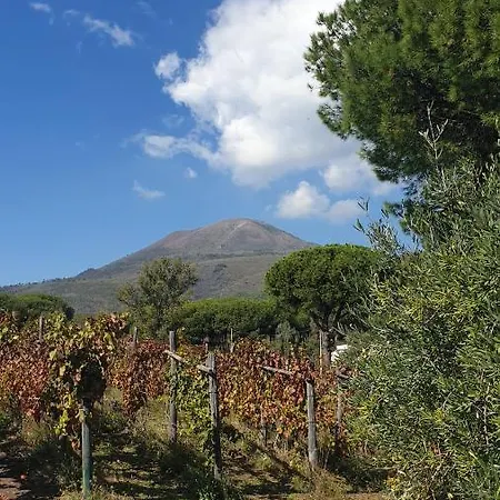 Casale Rendine *