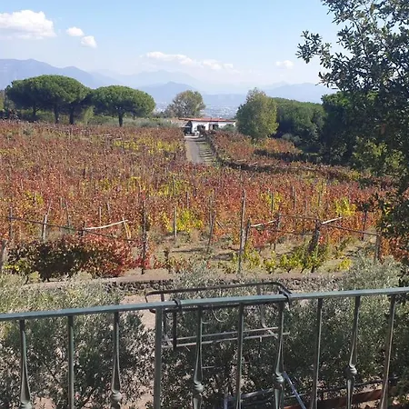 Casale Rendine Villa